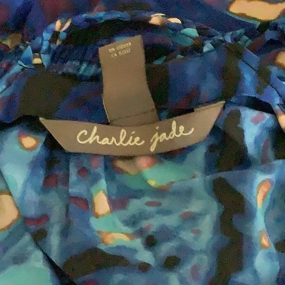 Charlie jade dress๐ - Picture 7 of 8